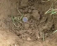in the hole.webp
