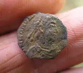 cliped siliqua.webp