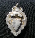 silver pendant.webp