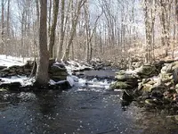 riv1.webp