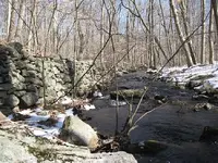 riv2.webp