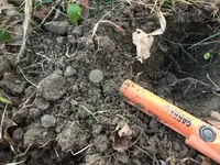 In the Hole.webp