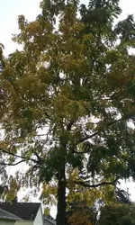 20161022_140110.webp