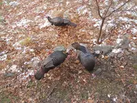 DSCN2767.webp