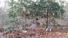 20161210_141657.webp