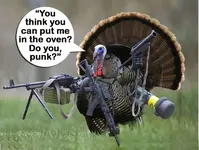 TurkeyPutMeInTheOven.webp