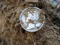 F75DST 1944 Mercury Dime 003.webp