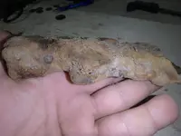PA220006.webp