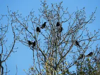 K1600_DSCN0101.webp