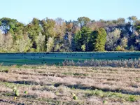 K1600_DSCN0100.webp
