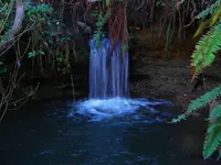 DSCN1186.webp
