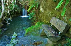 DSCN1177.webp