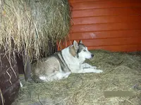 DSCN3948.webp