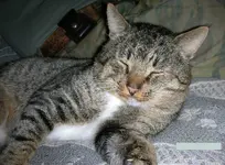 DSCN3923.webp