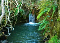 DSCN1179.webp