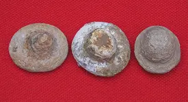 nodules5.webp