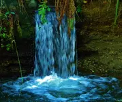 DSCN1182.webp
