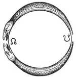 1367098.webp 1367098.webp