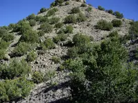 IMGP1516.webp