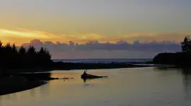 DSCN1334.webp