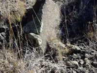 IMGP1508.webp