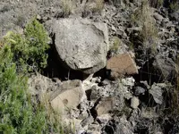 IMGP1505.webp