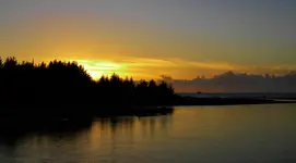 DSCN1336.webp