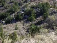 IMGP1502.webp