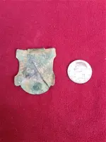Shield Back.webp