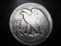 F75DST Silver Half & Rosie 015.webp