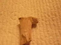 DSCF0393.webp