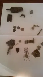 Today's Finds.webp Today's Finds.webp