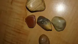 1479790627974.webp
