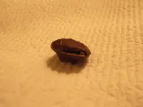 DSCF0395.webp