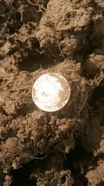 Coin on Dirt.webp Coin on Dirt.webp