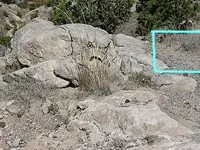 IMGP1497.webp