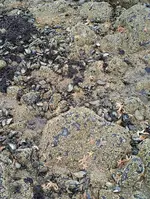 IMG_20161211_1505263~2.webp