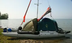 boat cat.webp