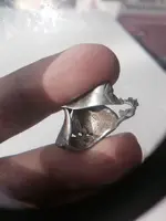 ImageUploadedByTreasureNet.com1477243041.161385.webp