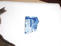 DSCF0407.webp