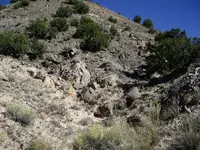 Barton Pic  natural.webp
