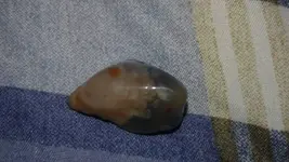 1479822738576.webp