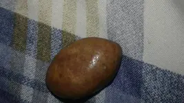 1479822749886.webp