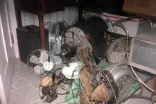 20 fans 003.webp