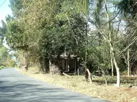 DSCF0003.webp DSCF0003.webp