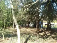 DSCF0006.webp