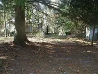 DSCF0010.webp