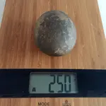 image.webp