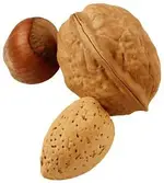 ImageUploadedByTreasureNet.com1482322565.825983.webp