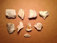 image.webp